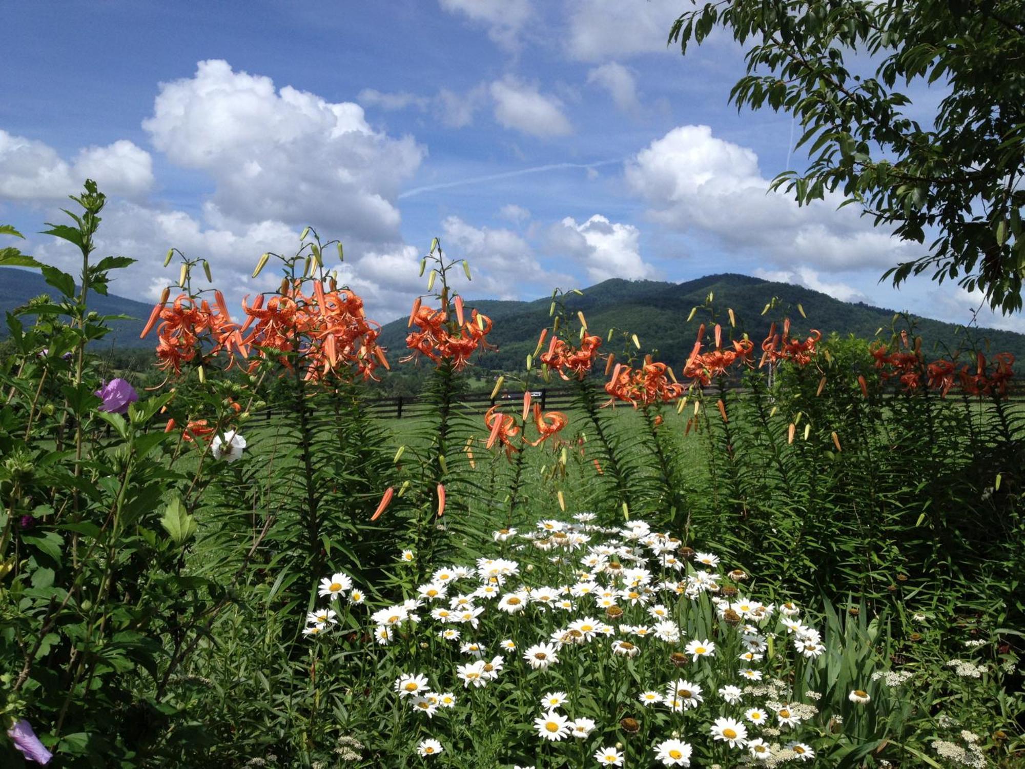 Montfair Resort Farm Crozet Bagian luar foto