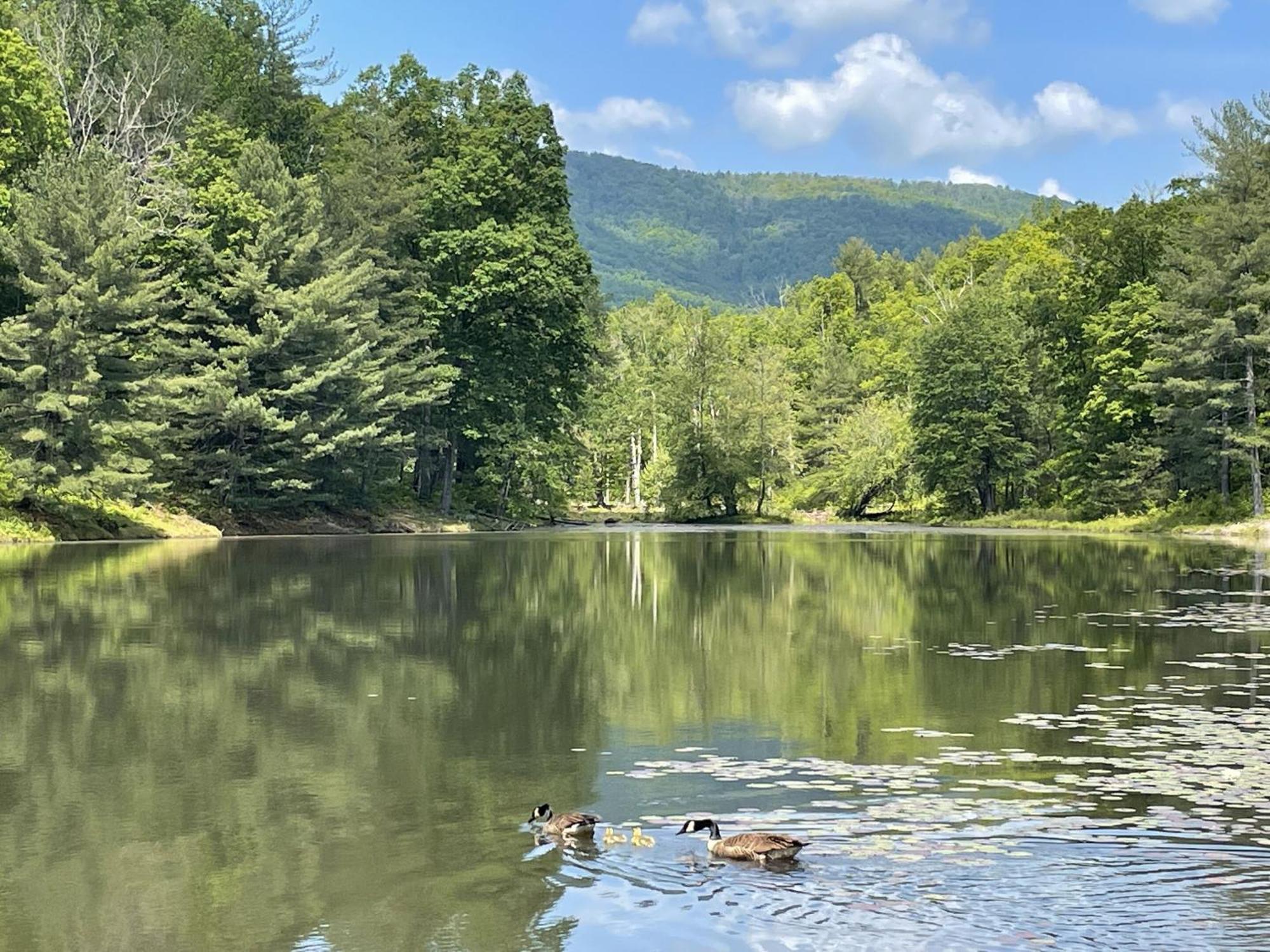 Montfair Resort Farm Crozet Bagian luar foto