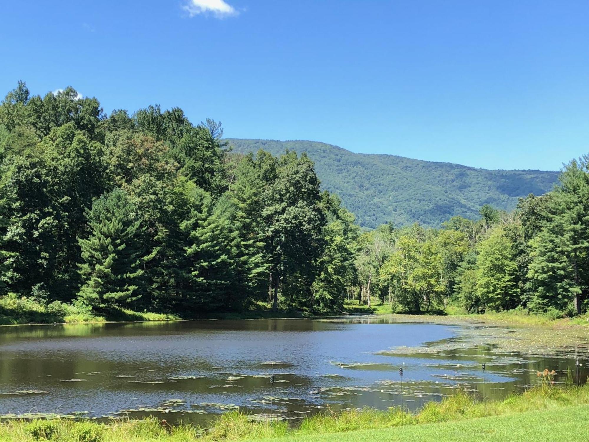 Montfair Resort Farm Crozet Ruang foto