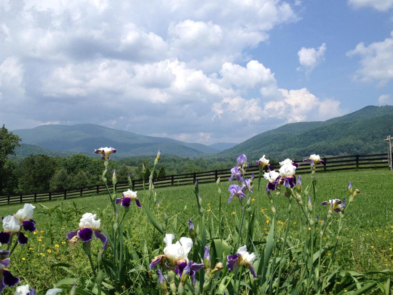 Montfair Resort Farm Crozet Ruang foto