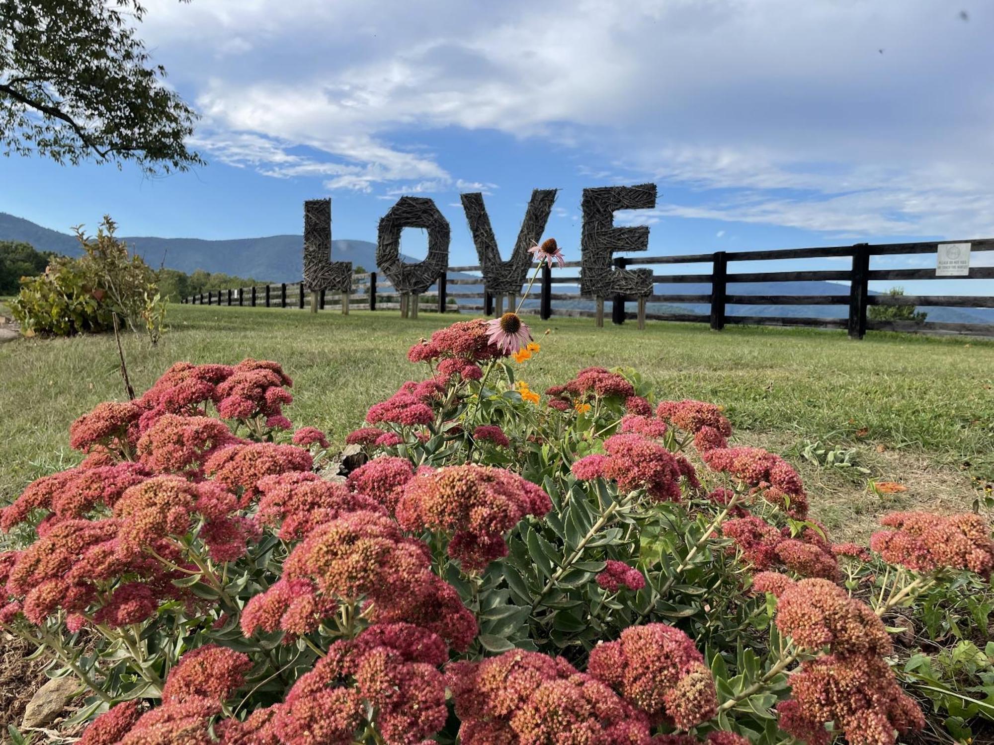 Montfair Resort Farm Crozet Ruang foto