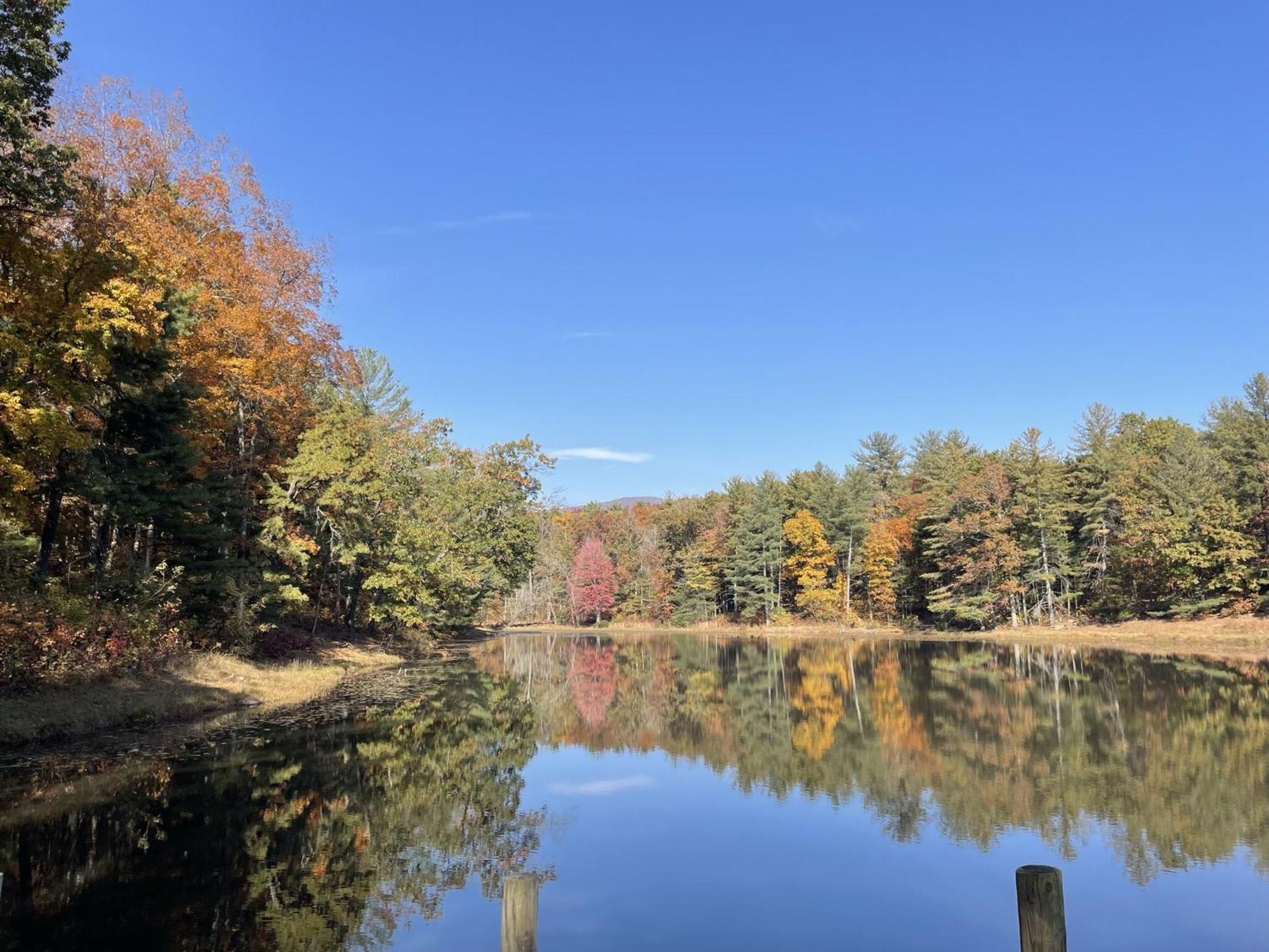 Montfair Resort Farm Crozet Bagian luar foto